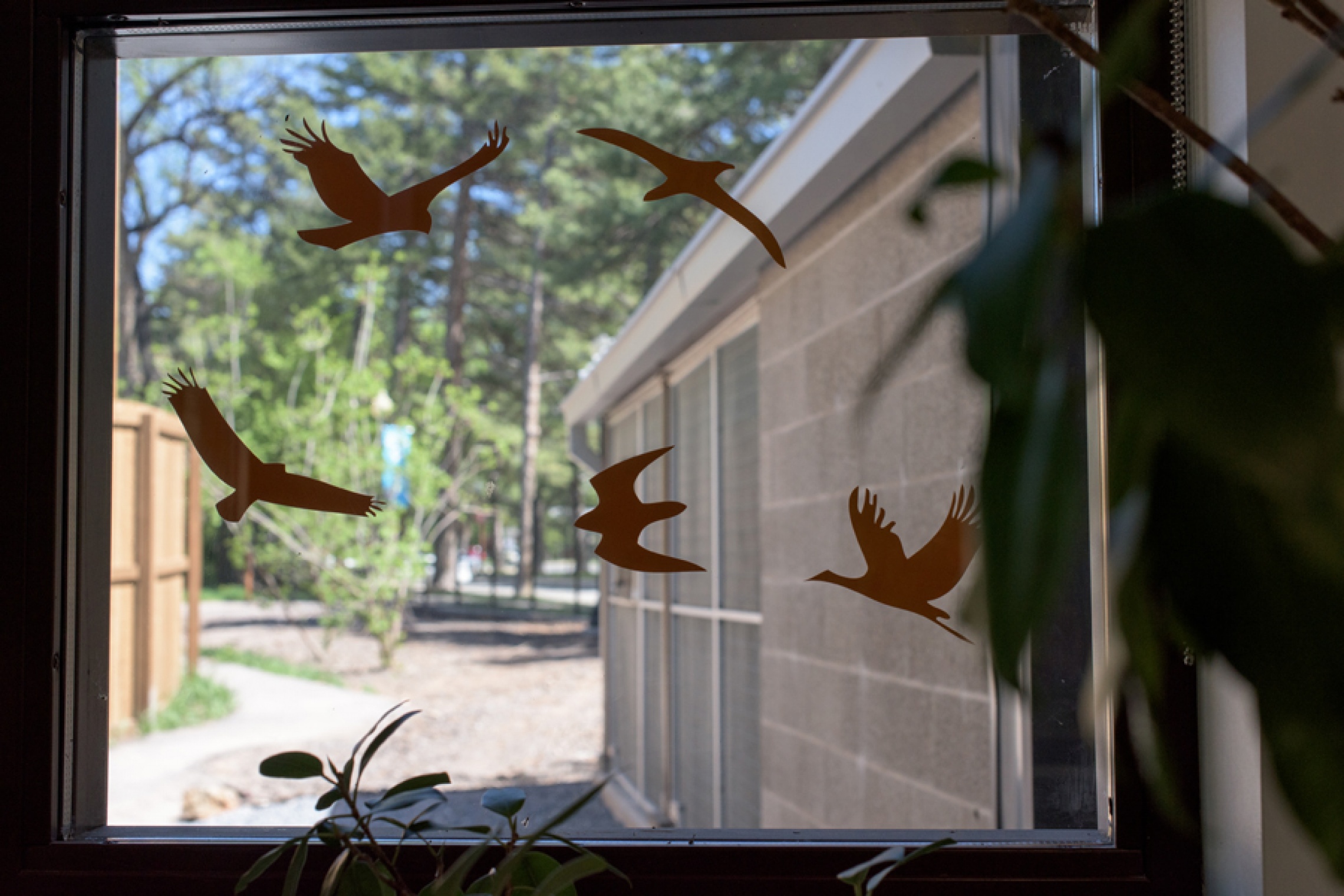 Avian Health Center Tracy Aviary AMD Architecture